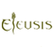 Eleusis Project / Community