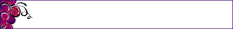 beringer banner